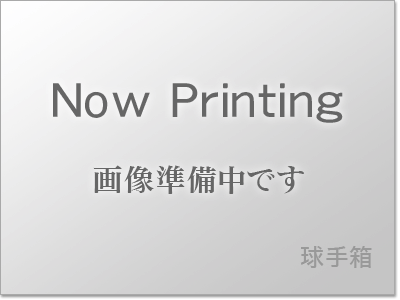 【ABランク落書き】NIKE（ナイキ） PD/LONG カラー混合 2014年モデル 1個
